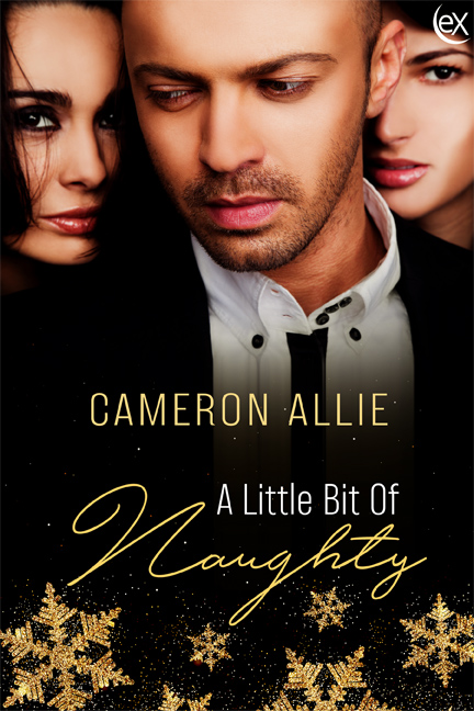 This image has an empty alt attribute; its file name is ALittleBitOfNaughty6x9-1.jpg