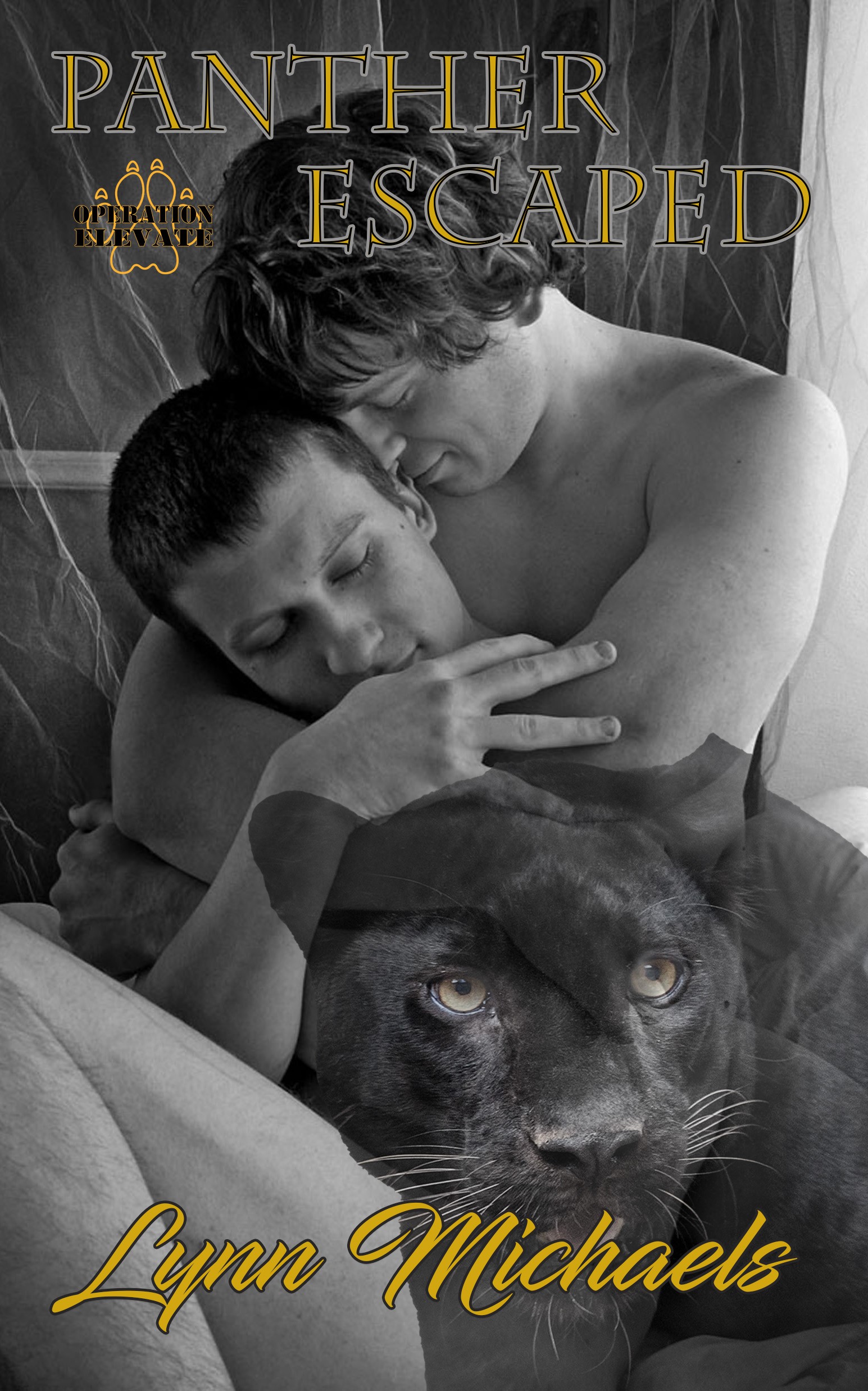 67141029_2330714227151499_7426667980055904256_n